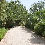 8288a